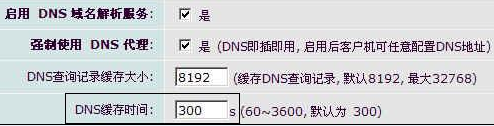 DNS缓存时间